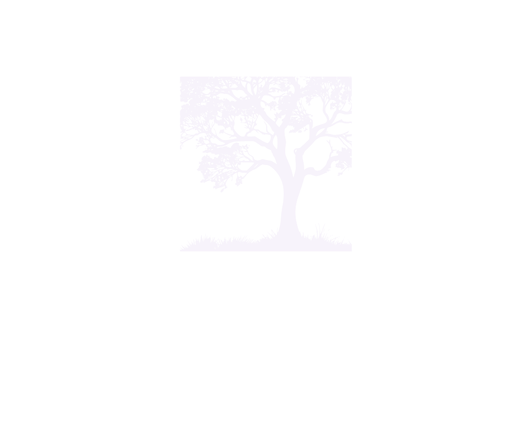 entrebosques.huillinco