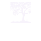 Entre Bosques Huillinco